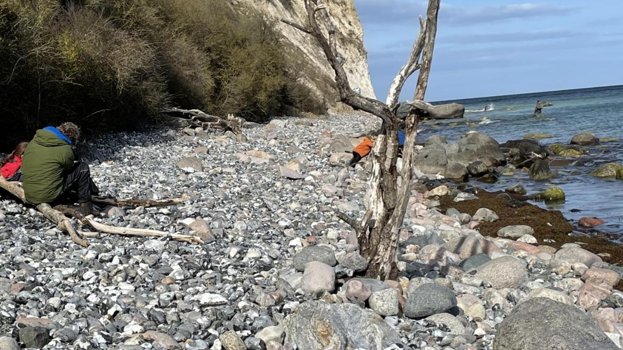 Mare Balticum Urlaub Auf Ruegen Aparthotel Загард Екстериор снимка